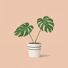 Fototapeta premium A minimalist illustration of monstera leaves in a striped pot