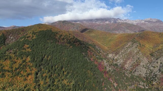 Aerial video of Mirdita mountains in full autumn colour, showcasing forested slopes, rural farms, and dramatic peaks of Northern Albania. 