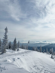 Snowy mountain ridge with pine trees and distant horizon