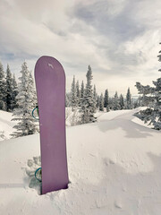 Purple snowboard in snow near frosted forest under cloudy sky