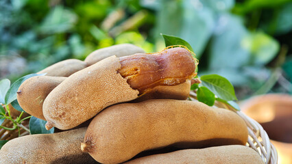 Sweet tamarind in a basket.
