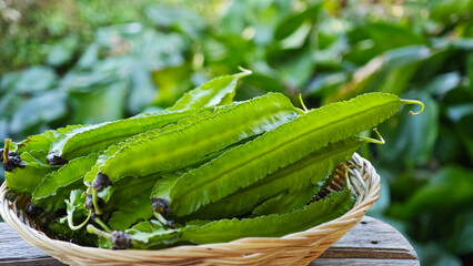 Fresh winged beans in a basket. © Chaaim