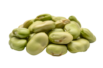 fresh fava beans ready for cooking and consumption . Isolated on transparent background, png