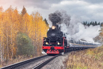 Steam retro train moves in the autumn forest.