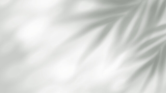 Summer palm leaf shadow with blurred tropical foliage silhouette on transparent background, perfect for poster layouts and spring banner templates with natural light effects