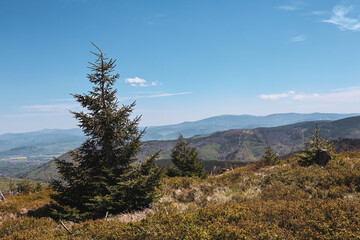 Mountain landscape with spruce trees and distant ridges viewed from Skrzyczne summit in Beskid Slaski