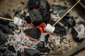 Two skewers with marshmallows are being roasted over glowing charcoal embers, creating a warm and inviting atmosphere for outdoor gatherings and campfire experiences