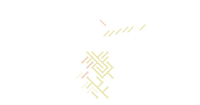 Digital Diagonal Animation Showcasing Mayotte Map