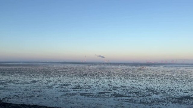 Kamera Schwenk &uuml;ber das Wattenmeer an der Deutschen Nordseek&uuml;ste auf Butjadingen.