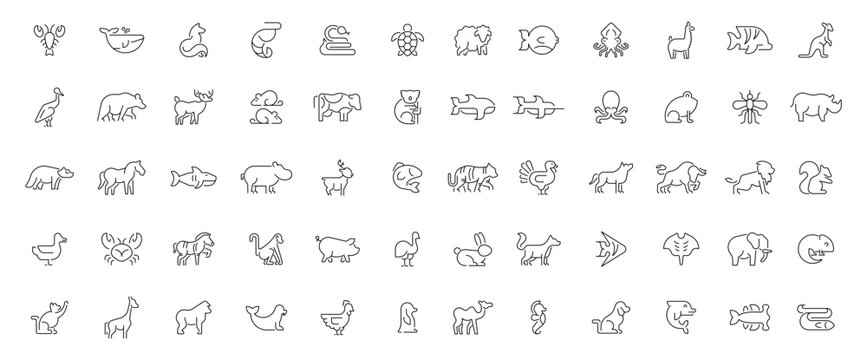 Animals icons set. editable line icons, outline, wildlife and nature symbols