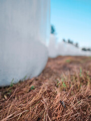 White plastic bale of hey are standing on a grass field in rural country side area. Farming and agriculture industry. Warm summer time mood and feel. Barn yard animal feed.