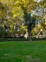 tranquility and relaxation in a park in Gijon, Asturias, Spain