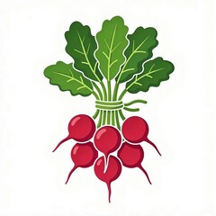bunch of radishes illustration 