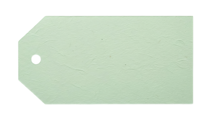 Pale green paper tag isolated PNG on transparent background, blank label with hole for price or gift, craft supply for scrapbooking and design