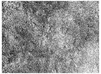 Grunge urban texture vector for background. Distressed dense overlay texture. Abstract gritty effect.