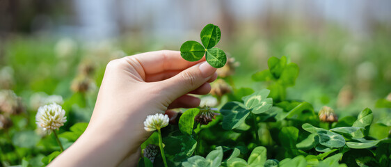 Hand holding clover leaf amidst lush greenery and blooming flowers. Clover plant showcases vibrant green colors, depicting nature’s beauty and tranquility. 