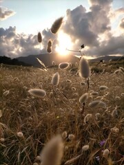 sunset colors in the Cantabrian coast in A Marina, Galicia, Spain