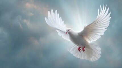 Fototapeta premium A white bird soars through a cloudy sky wings spread wide. The light shines behind it creating a bright backdrop. Its feathers appear detailed and well defined.