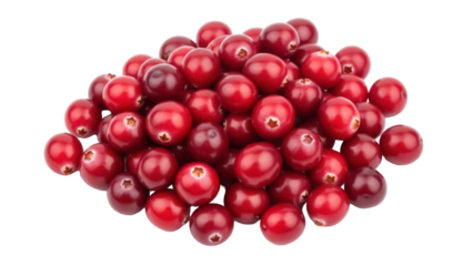 Pile of fresh red cranberries isolated PNG, vibrant and juicy berries for holiday baking and seasonal recipes