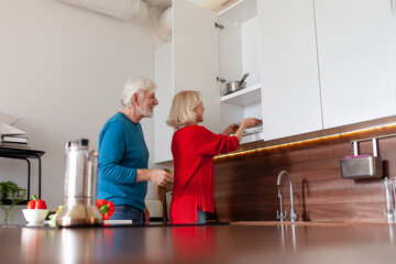Obraz premium couple of elderly seniors are cleaning the kitchen and putting the dishes on the shelf, while grandma and grandpa are washing the dishes and doing housework together