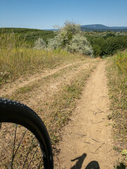 mountain biking trail through sunny meadow landscape