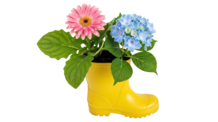 Pink gerbera daisy and blue hydrangea in yellow rain boot isolated PNG, spring flowers arrangement for garden decor and seasonal design