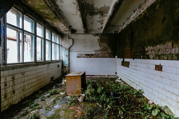 Overgrown by plants old abandoned building interior