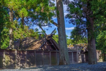 静寂に包まれた神聖な神社の情景