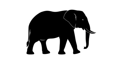 Fototapeta premium Majestic Elephant Silhouette - A Striking Black and White Depiction of Wildlife.