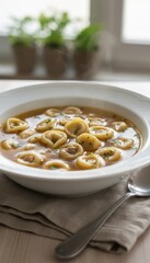 Warm Bowl of Savory Tortellini Soup Garnished with Fresh Parsley on a Wooden Table with Soft Natural Light and Green Plants in the Background