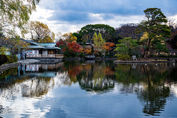 Fototapeta premium 鎌倉251211 鶴岡八幡宮1 紅葉