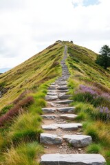 A stone pathway winds through vibrant green grass and purple wildflowers on a highland mountain. Use: outdoor travel brochure, hiking website header.