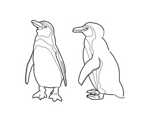 フンボルトペンギンのモノクロイラスト