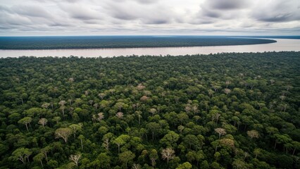 Fototapeta premium Aerial view of a vast, lush rainforest alongside a wide, brown river under cloudy skies