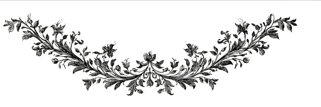 Ushaped leafy design intricate vines and jungle leaves suitable for chapter heading decoration isolated on white background delicate ink style