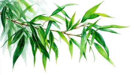 Fototapeta premium Vibrant green willow leaves on a branch, a fresh watercolor botanical illustration isolated on a clean white background.