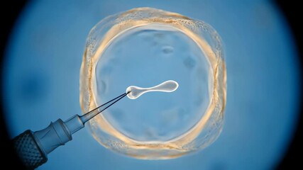 Microscopic Injection into Egg Cell Fertilization Process Close-up Scientific Research