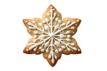 Star-Shaped Iced Sugar Cookie