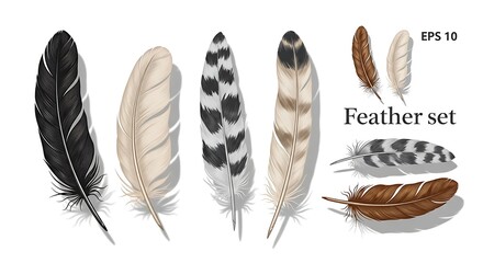 Realistic Feather Set Isolated on White Background.