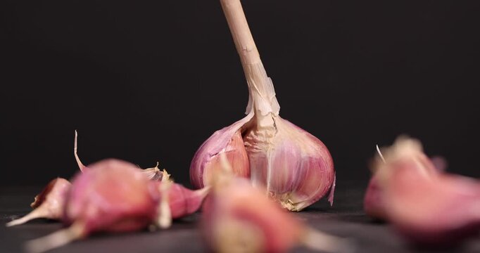 ripe purple garlic scattered on a black table in the kitchen and cloves of crushed garlic , garlic spices lie on a black slate board in the kitchen over cooking