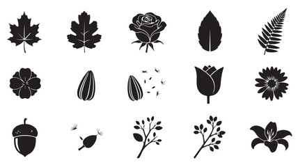 Black Leaf and Flower Silhouettes on White Background © Abdullah
