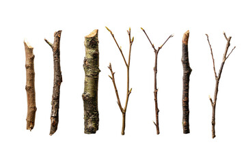 Collection of Various Tree Branches
