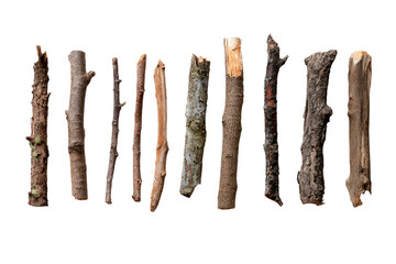 Assorted Wooden Branches on White Background