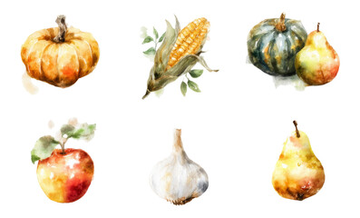 Watercolor Autumn Harvest Produce on Transparent Background for Design and Art Projects