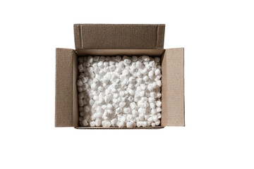 Cardboard Box with Foam Packing Peanuts