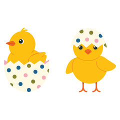 Cute little yellow chick hatched from egg baby bird emergence easter chicken vector illustration ideal for spring celebration and holiday design themes