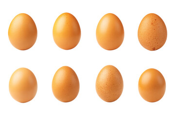 Row of Eight Brown Eggs Isolated on White Background