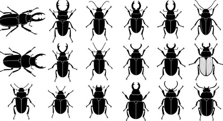 Beetle insect silhouette vector collection featuring scarab, stag beetles, and bug shapes, black entomology icons set for nature study, education,  © Shuda