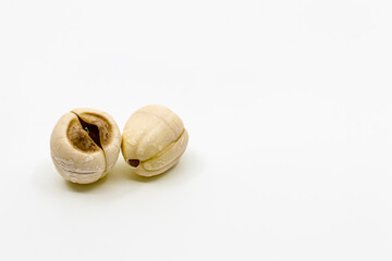 蓮の実　ハスの実　白背景