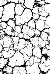 dry cracked ground